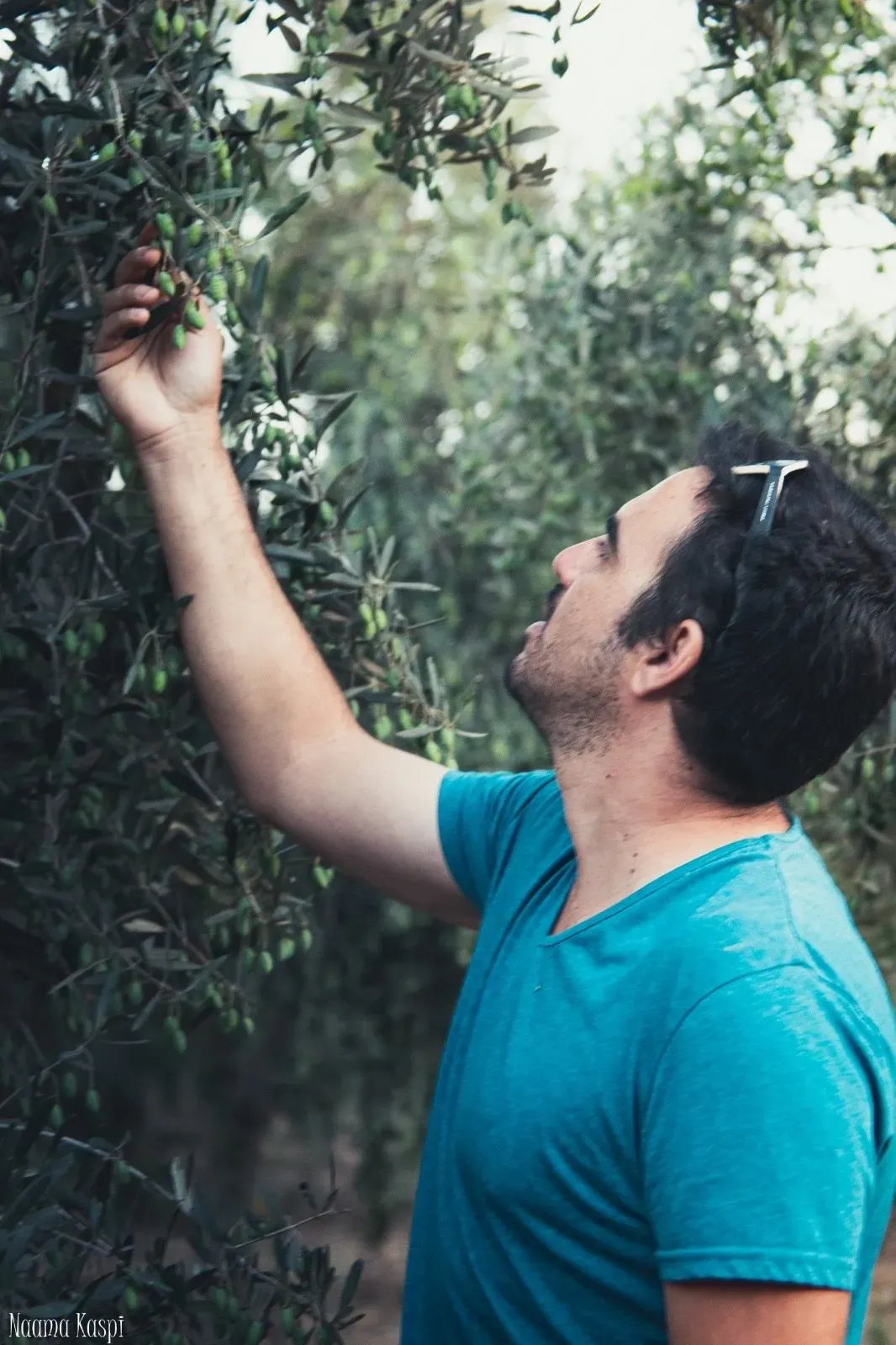 רוטב עגבניות שרי איטלקי לפסטה - Image 3