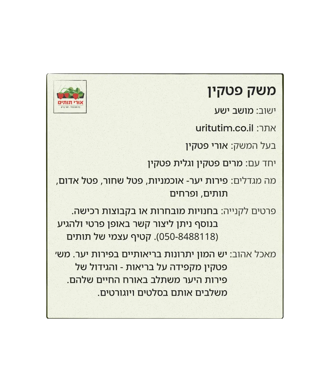 מאפינס אוכמניות - Image 2