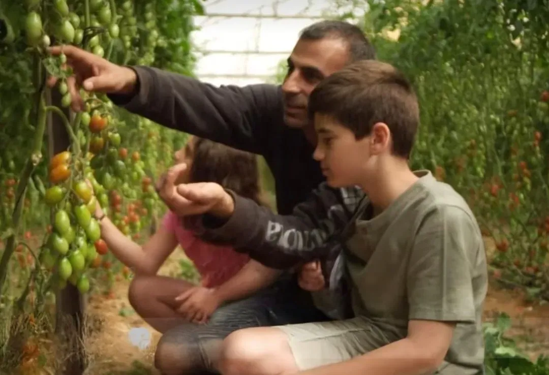 סלט פתיתים איטלקי ״פרגוֹלה״ - Image 3